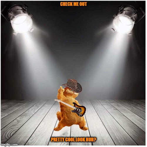 if garfield became a singer | CHECK ME OUT; PRETTY COOL LOOK HUH? | image tagged in stage spotlight,garfield,country music,singer | made w/ Imgflip meme maker
