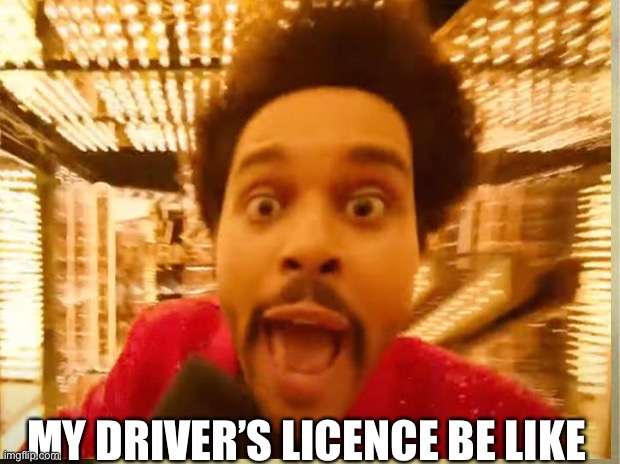 The Weekend | MY DRIVER’S LICENSE BE LIKE | image tagged in super bowl,driving,the weekend | made w/ Imgflip meme maker