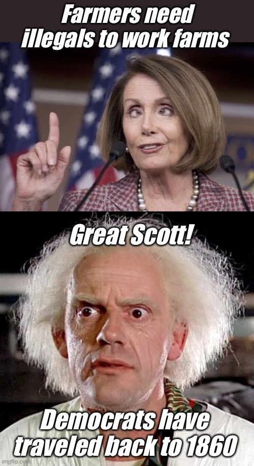 Some say they never left | Farmers need illegals to work farms; Great Scott! Democrats have traveled back to 1860 | image tagged in nancy pelosi,back to the future,politics lol,memes | made w/ Imgflip meme maker