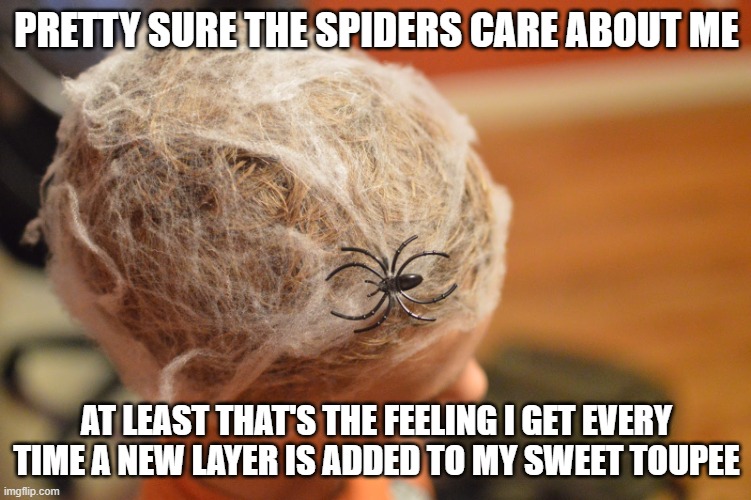 Sweet toupee | PRETTY SURE THE SPIDERS CARE ABOUT ME; AT LEAST THAT'S THE FEELING I GET EVERY TIME A NEW LAYER IS ADDED TO MY SWEET TOUPEE | image tagged in spider hair | made w/ Imgflip meme maker