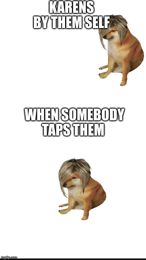 meme | KARENS BY THEM SELF; WHEN SOMEBODY TAPS THEM | image tagged in memes | made w/ Imgflip meme maker