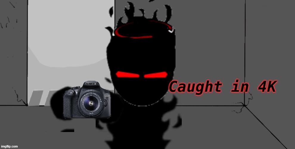 Audi caught in 4K | image tagged in audi caught in 4k | made w/ Imgflip meme maker