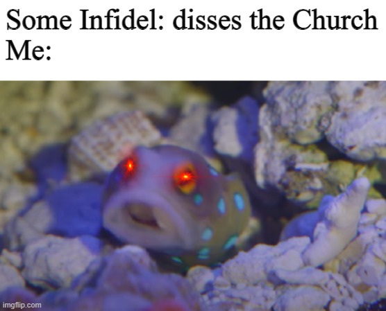 Don't diss the Church | Some Infidel: disses the Church
Me: | image tagged in blue spotted jawfish | made w/ Imgflip meme maker