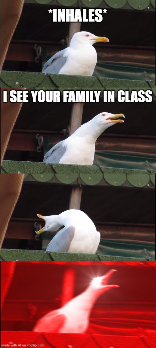 true | *INHALES*; I SEE YOUR FAMILY IN CLASS | image tagged in memes,inhaling seagull,ai meme | made w/ Imgflip meme maker