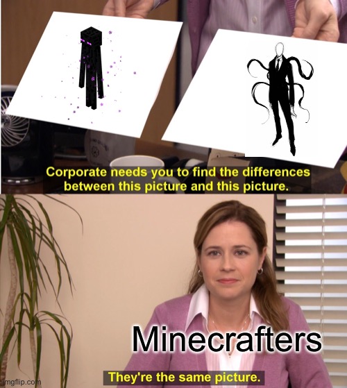 They're The Same Picture | Minecrafters | image tagged in memes,they're the same picture | made w/ Imgflip meme maker