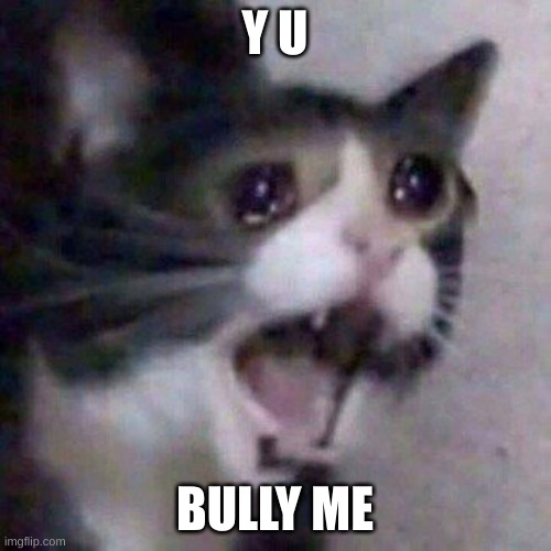 Screaming Cat meme | Y U; BULLY ME | image tagged in screaming cat meme | made w/ Imgflip meme maker