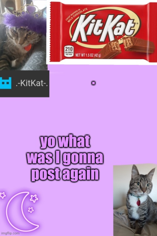 Kittys announcement template kitkat addition | . yo what was I gonna post again | image tagged in kittys announcement template kitkat addition | made w/ Imgflip meme maker