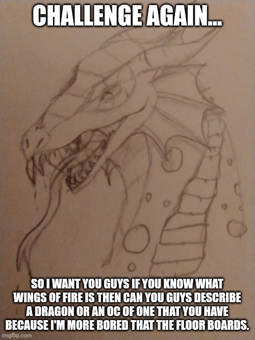 Challenge | CHALLENGE AGAIN... SO I WANT YOU GUYS IF YOU KNOW WHAT WINGS OF FIRE IS THEN CAN YOU GUYS DESCRIBE A DRAGON OR AN OC OF ONE THAT YOU HAVE BECAUSE I'M MORE BORED THAT THE FLOOR BOARDS. | image tagged in drawing,dragon | made w/ Imgflip meme maker