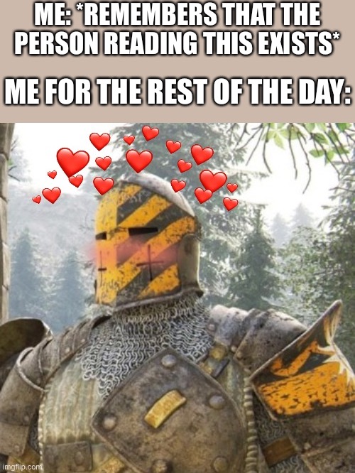 AWWWW HECK YEAH | ME: *REMEMBERS THAT THE PERSON READING THIS EXISTS*; ME FOR THE REST OF THE DAY: | image tagged in wholesome crusader 3,wholesome | made w/ Imgflip meme maker