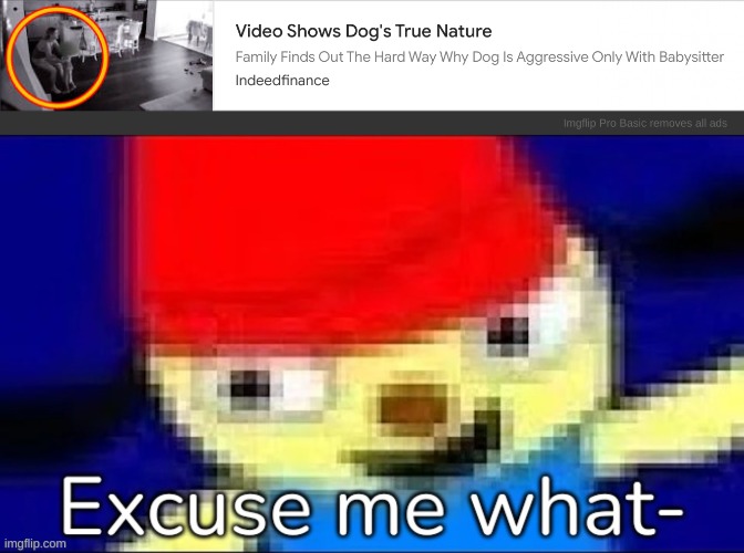 What tf is this ad- | image tagged in parappa excuse me what-,idk,stuff,s o u p,carck | made w/ Imgflip meme maker