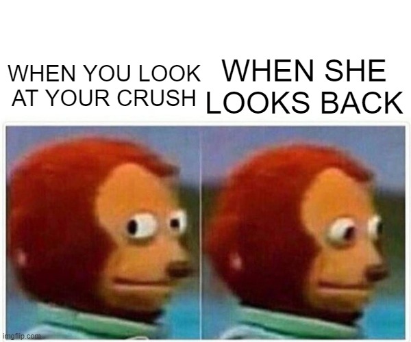 Monkey Puppet Meme | WHEN SHE LOOKS BACK; WHEN YOU LOOK AT YOUR CRUSH | image tagged in memes,monkey puppet | made w/ Imgflip meme maker