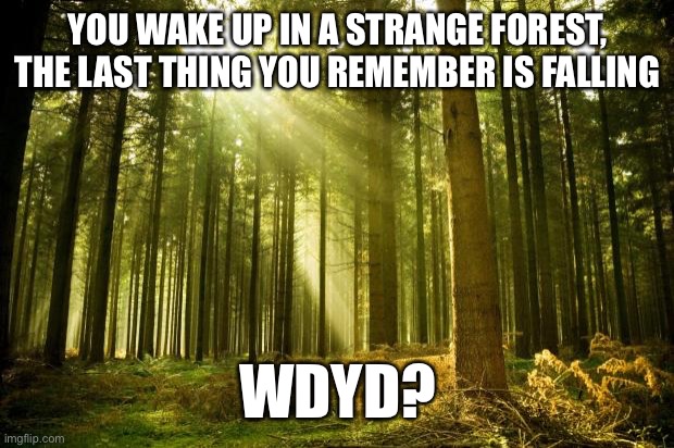 sunlit forest | YOU WAKE UP IN A STRANGE FOREST, THE LAST THING YOU REMEMBER IS FALLING; WDYD? | image tagged in sunlit forest | made w/ Imgflip meme maker