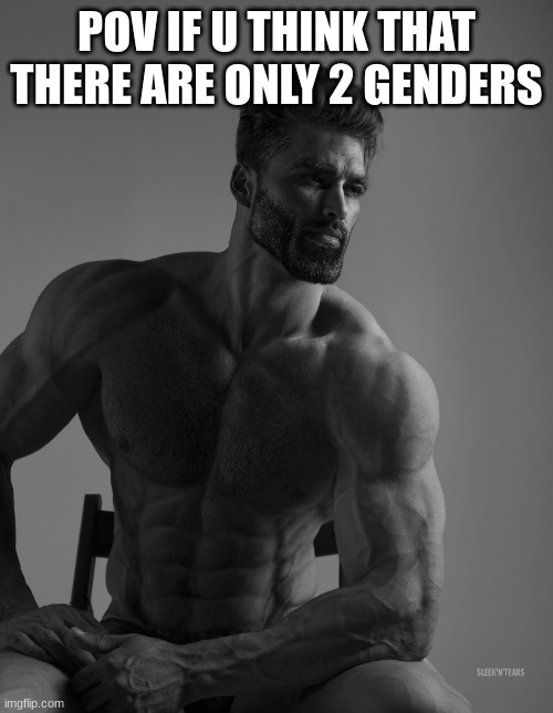 Giga Chad | POV IF U THINK THAT THERE ARE ONLY 2 GENDERS | image tagged in giga chad | made w/ Imgflip meme maker