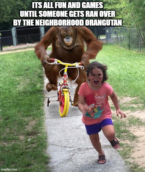 Orangutan chasing girl on a tricycle | ITS ALL FUN AND GAMES UNTIL SOMEONE GETS RAN OVER BY THE NEIGHBORHOOD ORANGUTAN | image tagged in orangutan chasing girl on a tricycle | made w/ Imgflip meme maker