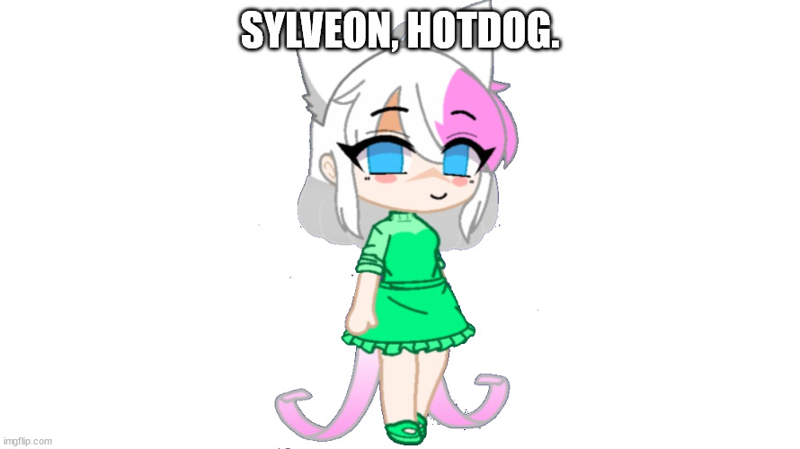 you should know what that means (and if you say "i don't have a house" then you died) | SYLVEON, HOTDOG. | image tagged in trainer sylceon | made w/ Imgflip meme maker