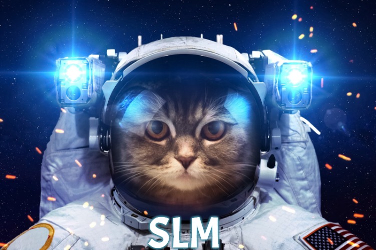 Space Cat 2 | SLM | image tagged in space cat 2,slavic,slm | made w/ Imgflip meme maker