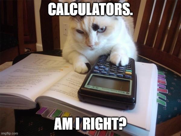 Math cat | CALCULATORS. AM I RIGHT? | image tagged in math cat | made w/ Imgflip meme maker