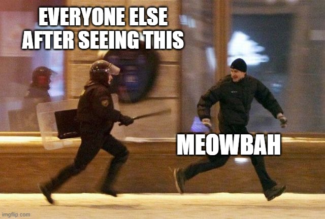 Police Chasing Guy | EVERYONE ELSE AFTER SEEING THIS MEOWBAH | image tagged in police chasing guy | made w/ Imgflip meme maker