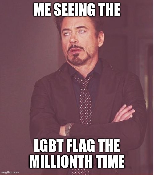 Face You Make Robert Downey Jr Meme | ME SEEING THE; LGBT FLAG THE MILLIONTH TIME | image tagged in memes,face you make robert downey jr | made w/ Imgflip meme maker