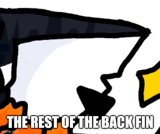 THE REST OF THE BACK FIN | made w/ Imgflip meme maker