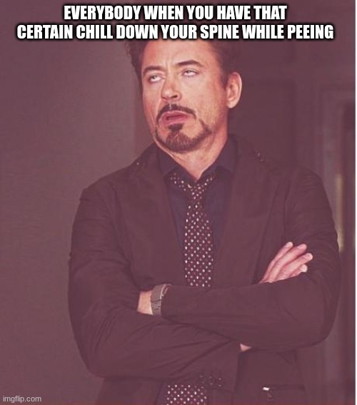 Face You Make Robert Downey Jr | EVERYBODY WHEN YOU HAVE THAT CERTAIN CHILL DOWN YOUR SPINE WHILE PEEING | image tagged in memes,face you make robert downey jr | made w/ Imgflip meme maker