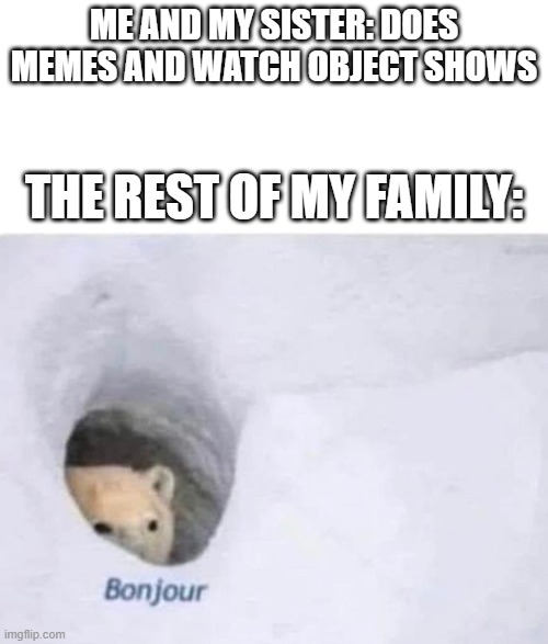 ... | ME AND MY SISTER: DOES MEMES AND WATCH OBJECT SHOWS; THE REST OF MY FAMILY: | image tagged in bonjour | made w/ Imgflip meme maker