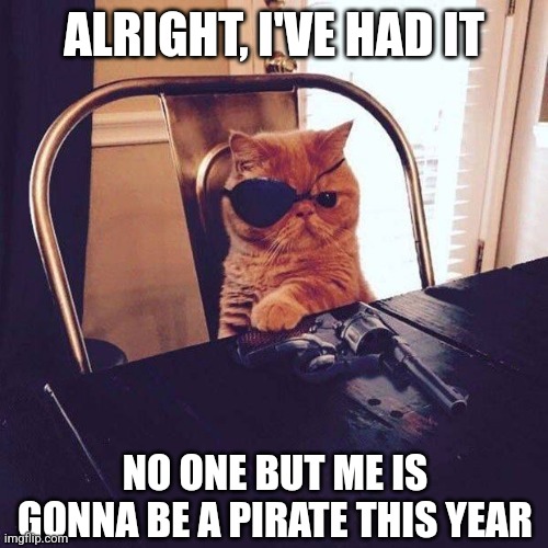 KITTY WANTS TO BE A PARA FOR HALLOWEEN | ALRIGHT, I'VE HAD IT; NO ONE BUT ME IS GONNA BE A PIRATE THIS YEAR | image tagged in cats,funny cats,halloween,pirate,spooktober | made w/ Imgflip meme maker