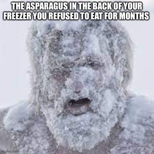 Frozen lol | THE ASPARAGUS IN THE BACK OF YOUR FREEZER YOU REFUSED TO EAT FOR MONTHS | image tagged in memes,relatable | made w/ Imgflip meme maker