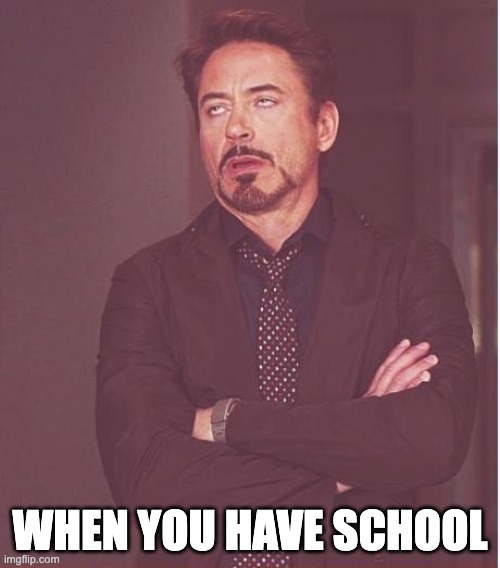 school | WHEN YOU HAVE SCHOOL | image tagged in memes,face you make robert downey jr | made w/ Imgflip meme maker