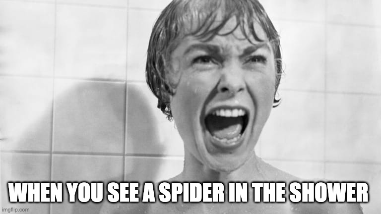 shower | WHEN YOU SEE A SPIDER IN THE SHOWER | image tagged in sober halloween | made w/ Imgflip meme maker