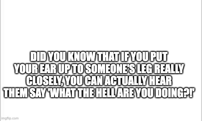 true | DID YOU KNOW THAT IF YOU PUT YOUR EAR UP TO SOMEONE'S LEG REALLY CLOSELY, YOU CAN ACTUALLY HEAR THEM SAY 'WHAT THE HELL ARE YOU DOING?!' | image tagged in white background | made w/ Imgflip meme maker