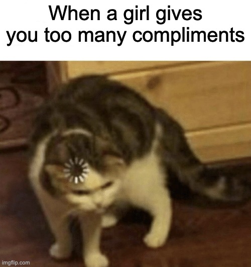 Something's wrong I can feel it | When a girl gives you too many compliments | image tagged in cat loading template,something's wrong i can feel it,wait thats illegal | made w/ Imgflip meme maker