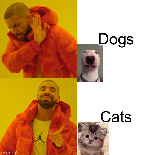 Drake Hotline Bling |  Dogs; Cats | image tagged in memes,drake hotline bling | made w/ Imgflip meme maker