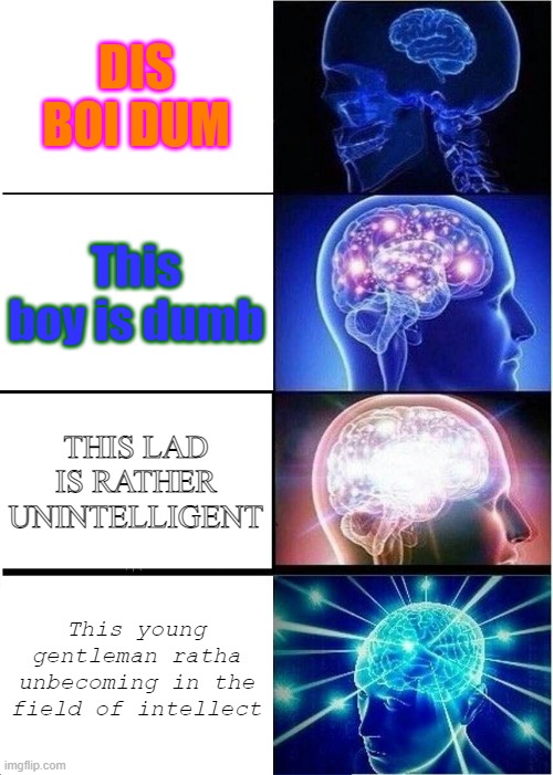 Expanding Brain | DIS BOI DUM; This boy is dumb; THIS LAD IS RATHER UNINTELLIGENT; This young gentleman ratha unbecoming in the field of intellect | image tagged in memes,expanding brain | made w/ Imgflip meme maker