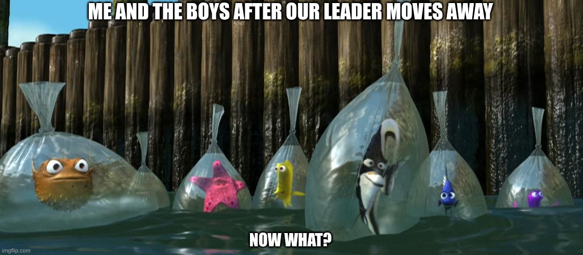Now What - Finding Nemo | ME AND THE BOYS AFTER OUR LEADER MOVES AWAY; NOW WHAT? | image tagged in now what - finding nemo,me and the boys | made w/ Imgflip meme maker