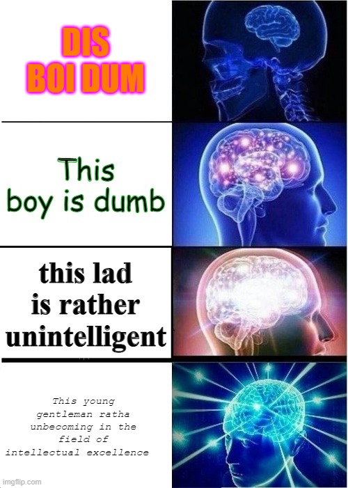 Expanding Brain Meme | DIS BOI DUM; This boy is dumb; this lad is rather unintelligent; This young gentleman ratha unbecoming in the field of intellectual excellence | image tagged in memes,expanding brain | made w/ Imgflip meme maker