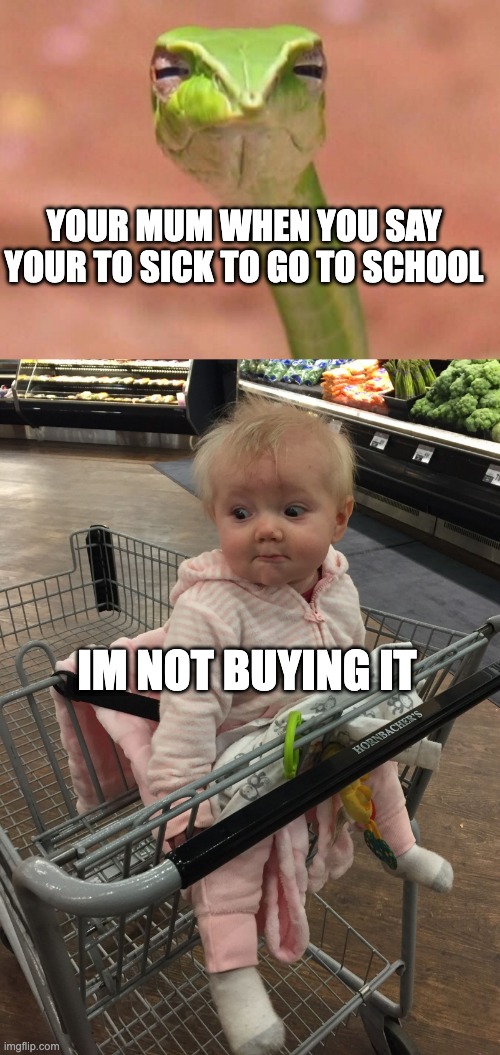 YOUR MUM WHEN YOU SAY YOUR TO SICK TO GO TO SCHOOL; IM NOT BUYING IT | image tagged in skeptical snake,grocery store baby | made w/ Imgflip meme maker