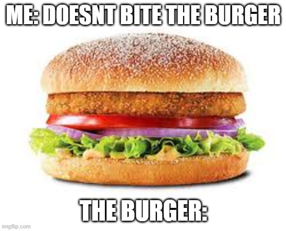 Burger | ME: DOESNT BITE THE BURGER; THE BURGER: | image tagged in burger | made w/ Imgflip meme maker