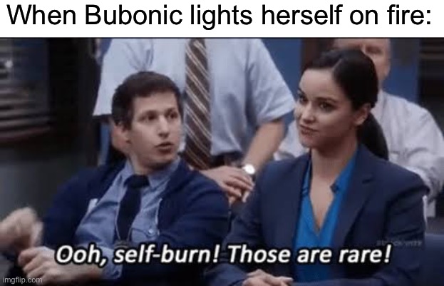 Bad joke.  I’m entering real life now. | When Bubonic lights herself on fire: | image tagged in ooh self-burn those are rare | made w/ Imgflip meme maker
