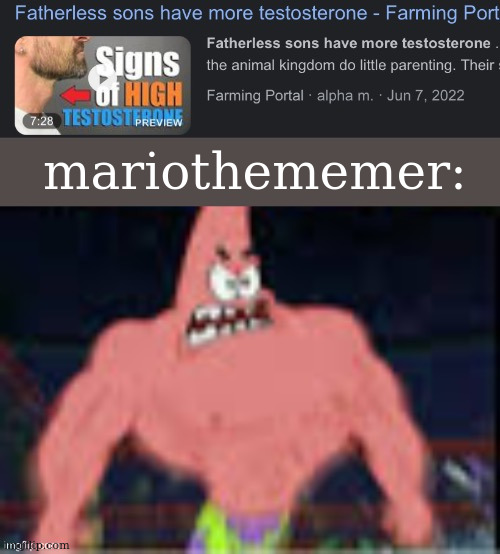 Fatherless sons have more testosterone | mariothememer: | image tagged in fatherless sons have more testosterone | made w/ Imgflip meme maker