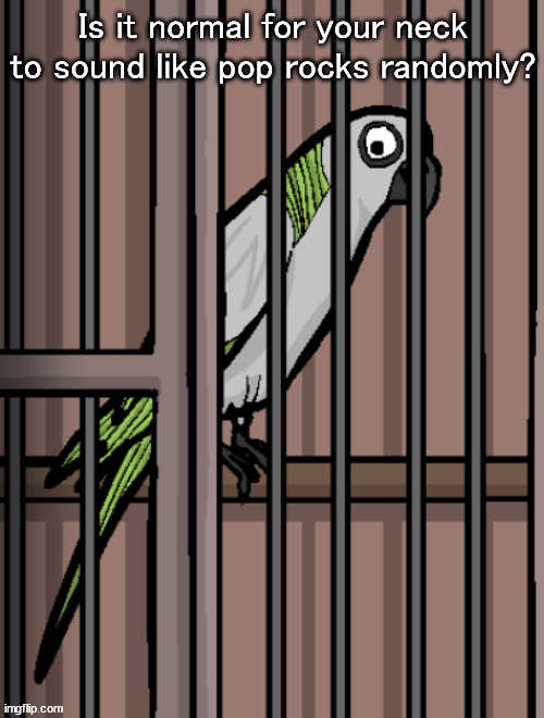 Bird on crack | Is it normal for your neck to sound like pop rocks randomly? | image tagged in bird on crack | made w/ Imgflip meme maker
