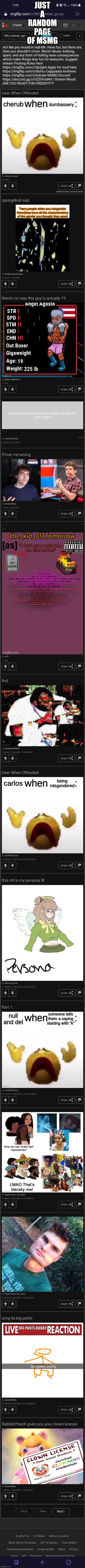 JUST A RANDOM PAGE OF MSMG | made w/ Imgflip meme maker