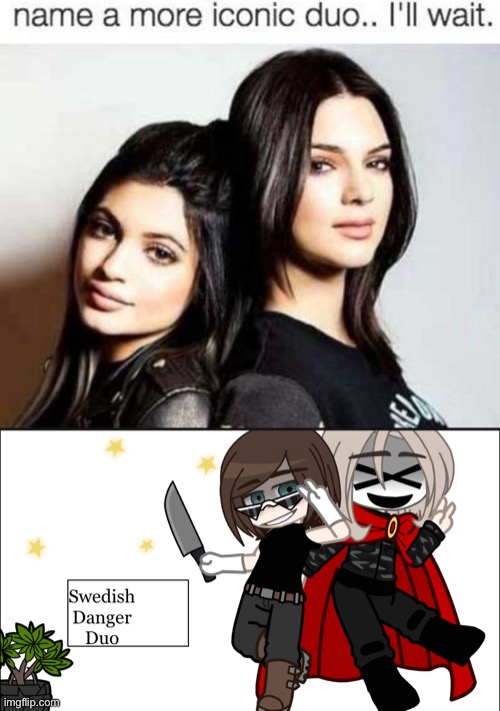 Iconic Swedish Danger Duo | image tagged in name a more iconic duo,swedish danger duo | made w/ Imgflip meme maker
