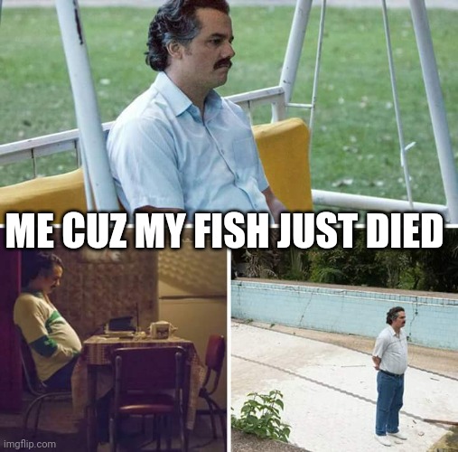 Sad Pablo Escobar Meme | ME CUZ MY FISH JUST DIED | image tagged in memes,sad pablo escobar | made w/ Imgflip meme maker