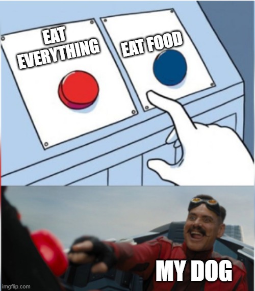 is literally this | EAT FOOD; EAT EVERYTHING; MY DOG | image tagged in robotnik pressing red button,dogs,xd | made w/ Imgflip meme maker
