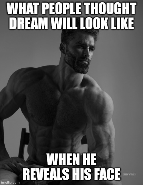 Image title cannot be blank | WHAT PEOPLE THOUGHT DREAM WILL LOOK LIKE; WHEN HE REVEALS HIS FACE | image tagged in giga chad | made w/ Imgflip meme maker