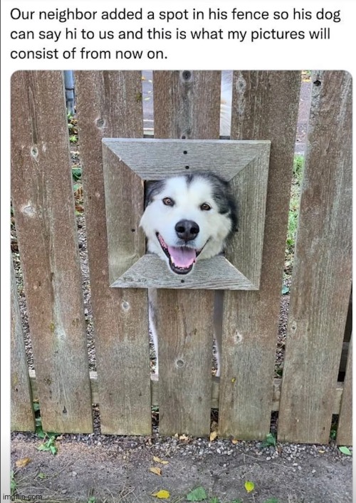 Something cute to make your day :) | made w/ Imgflip meme maker