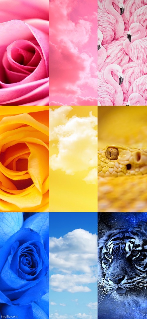 Pan wall paper | made w/ Imgflip meme maker