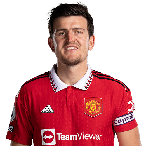 High Quality Harry maguire Blank Meme Template