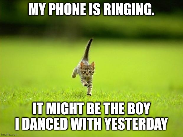 Running Cat | MY PHONE IS RINGING. IT MIGHT BE THE BOY  I DANCED WITH YESTERDAY | image tagged in running cat | made w/ Imgflip meme maker